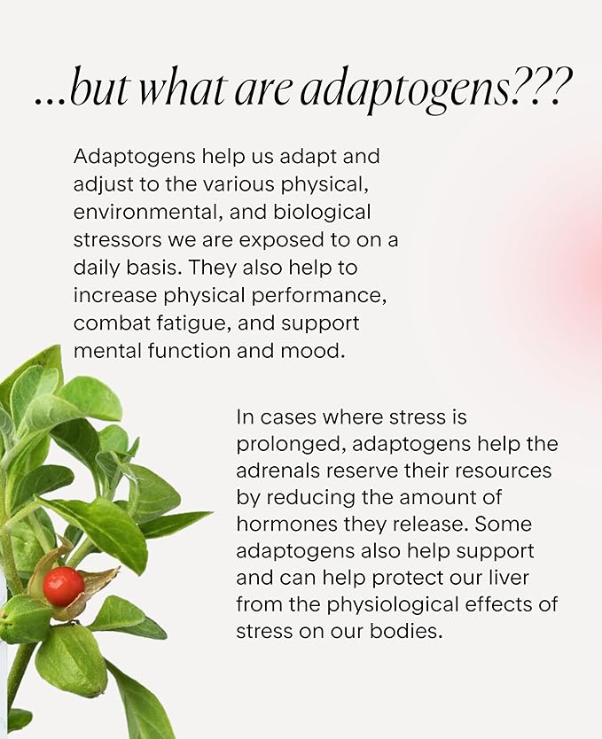 Goodness Lover Ashwagandha Supplement Ashwagandha and Black Pepper Adaptogens to Support Sleep Stress Focus &amp Clarity Calm 30 Servings