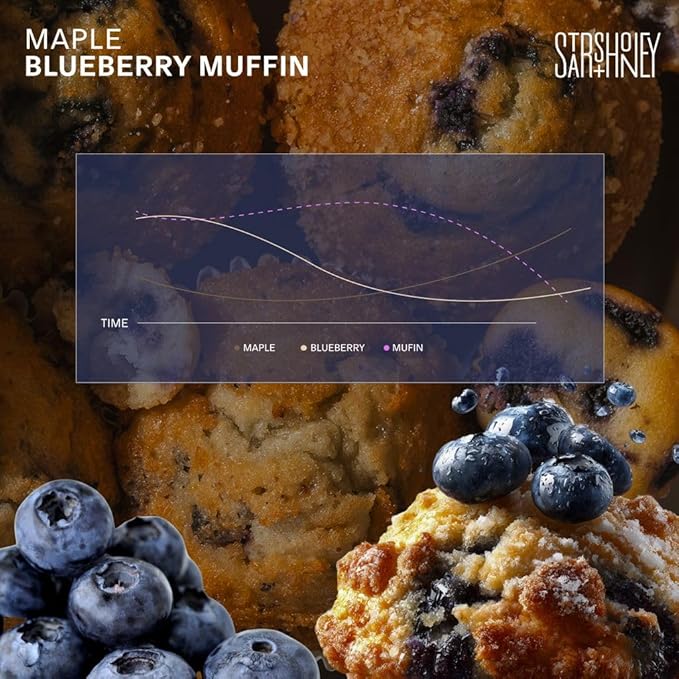 Stars + Honey Protein Bars Maple Blueberry Muffin 14g Protein 3g Sugar with Collagen Peptides Dairy Free Soy &amp Gluten Free Snacks Keto Friendly No Seed Oils or Sugar Alcohols 10 Pack