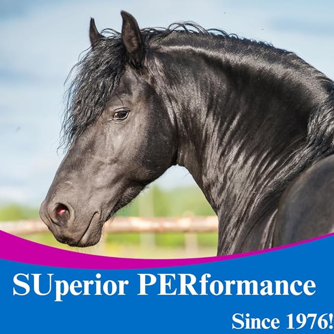 SU-PER Pre-Race Paste for Horses - Performance Support for Exercising Muscle - Buffered Creatine Amino Acids Herbal Extracts Anti-Oxidants B-Complex Vitamins - 60CC Case of 4