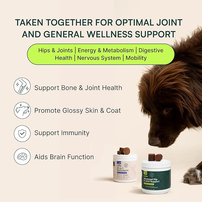 Wuffes 23-in-1 Dog Multivitamin Supplement for Hip &amp Joint Skin &amp Coat and Immune System Support with Omega 3 Iron Zinc Vitamin C - Minerals &amp Vitamins for Senior Dogs and Puppies - 60