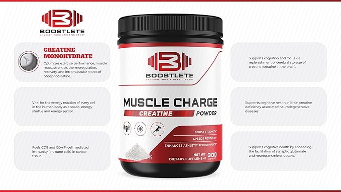 MuscleCharge Premium Creatine Monohydrate Powder – Supports Muscle Growth Strength Performance &amp Energy – Lab-Tested Pure Creatine – 500 Grams (100 Servings)