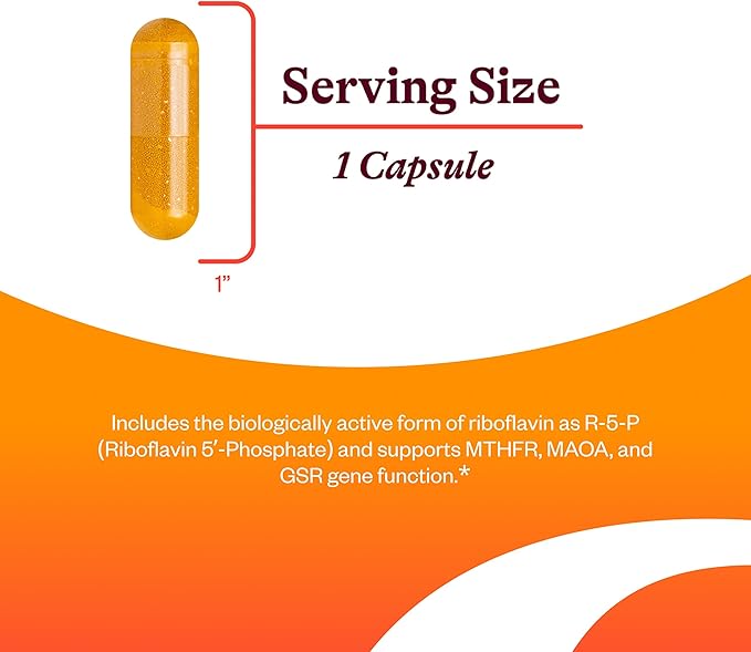 Seeking Health Riboflavin - Vitamin B2 Supplement for Methylation Support - Support Homocysteine Metabolism with Antioxidant Ingredients - 400 mg 60 Capsules
