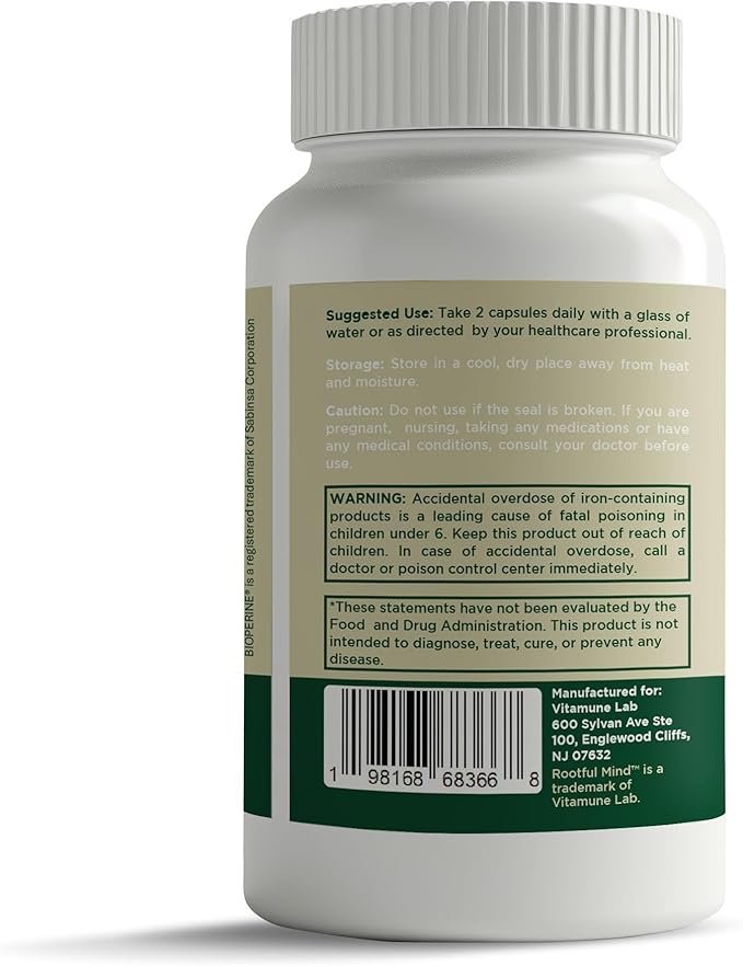 Stress Energy Brain (2 Pack) - Fatigue Supplement with Stress Energy Support - Rhodiola Rosea Lions Mane L Theanine Ginkgo Biloba Milk Thistle Iron - 4 Months Supply