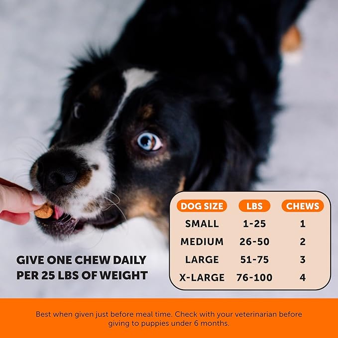 Hemp Hip &amp Joint Supplement for Dogs - Hemp Oil &amp Powder - Glucosamine Chondroitin for Dogs Turmeric MSM Green-Lipped Mussel Supports Mobility May Reduce Discomfort (Bacon)