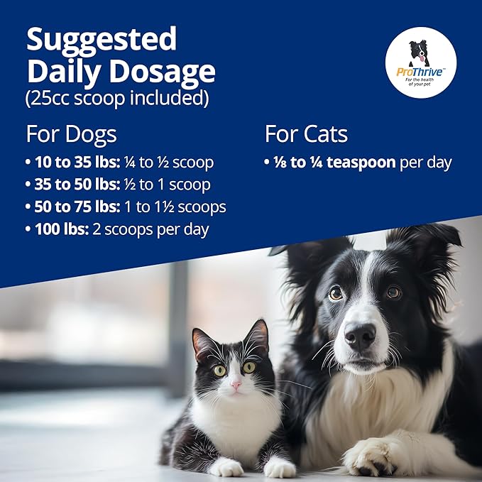 Spunky Digestive Supplement - Probiotics Digestive Enzymes Joint Support for Cats and Dogs | Gut Health | Pet Probiotics for Dogs and Cats - 5lb