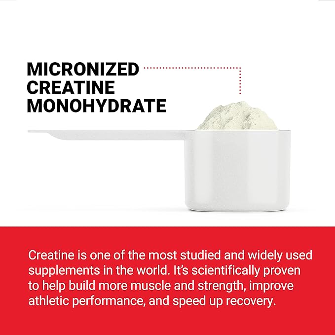 Force Factor Creatine Powder 60 Servings and Vitamin B Complex 60 Capsules Bundle for Muscle Gain Strength Energy and Faster Recovery