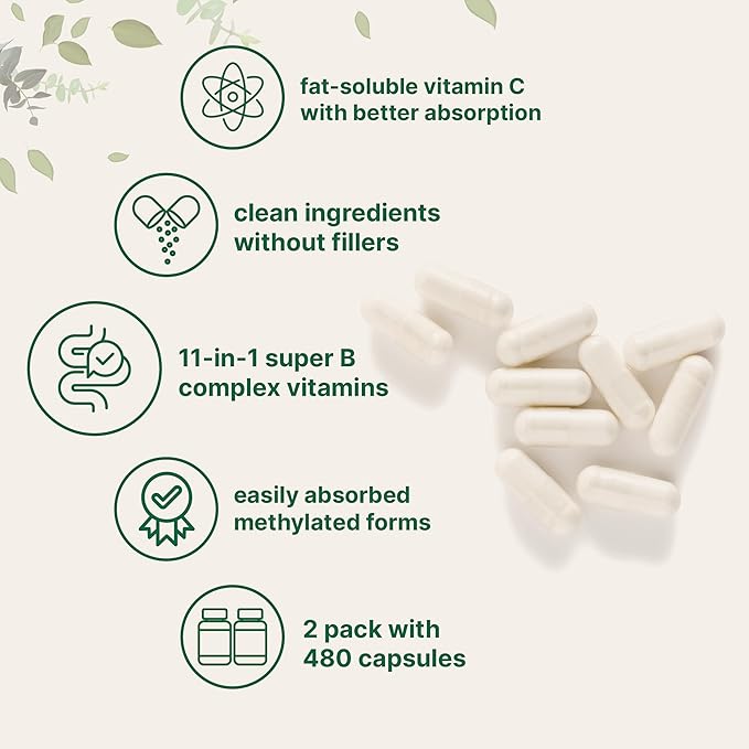 Micro Ingredients 2 Pack Pure Methylated B Complex 480 Capsules | 11-in-1 Formula with B12 Thiamin Folate Inositol Choline &amp Vitamin C | Filler Free | Non-GMO