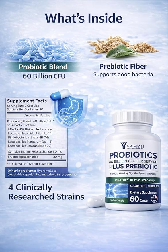 60 Billion CFU Probiotics with Prebiotic Fiber – Synbiotic Digestive &amp Immune Support for Men &amp Women 4 Clinically Researched Strains 60 Vegan Capsules