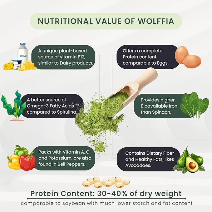 Pure Wolffia Globosa Powder High Protein Plant-Based Superfood Rich in B12 Non-GMO Vegan 1.76 oz