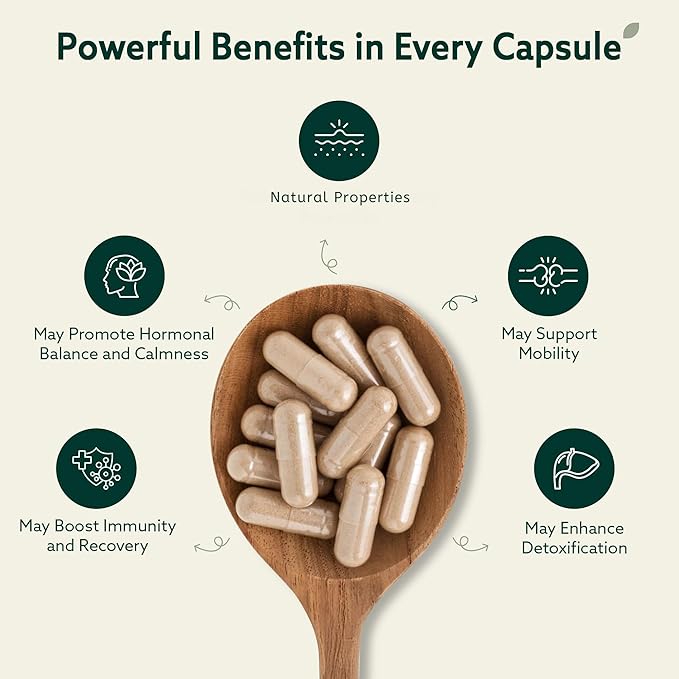 Burdock Root Organic and Bladderwrack 10 in 1 Immunity Booster Power Blend with Irish Sea Moss Ashwagandha and Black Seed Supplement for Men and Women Seamoss Pills Herbal Vegan - 60 Capsules