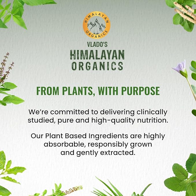 H.imalayan Organics Plant Based Collagen Builder Powder for Skin Regeneration Anti-Aging Beauty &amp Repair 250gm