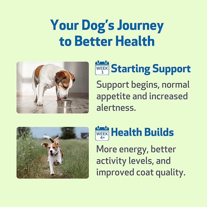 Pet Wellbeing Milk Thistle for Dogs - Organic Milk Thistle Supports Healthy Liver Function &amp Detoxification - NASC Certified &amp Vet-Formulated - 4 oz Liquid