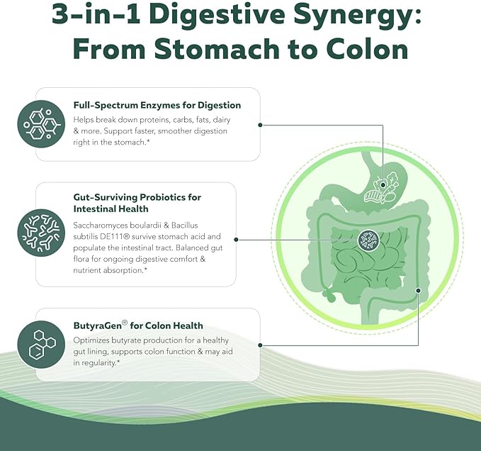Flora Digest - 3-in-1 Max Strength Digestive Enzymes + Gut Surviving Probiotics &amp ButyraGen® Postbiotic for Optimal Digestion Bloating Relief Regularity Gut Lining &amp Colon Support - (60 Cap
