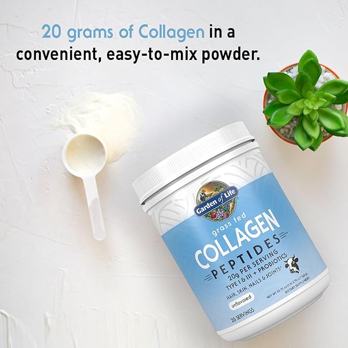 Garden of Life Power Bundle – Collagen Peptides Powder for Hair Skin Nails &amp Joints Unflavored 28 Servings + Vegan Vanilla Protein Powder with BCAAs Probiotics &amp Enzymes 20 Servings