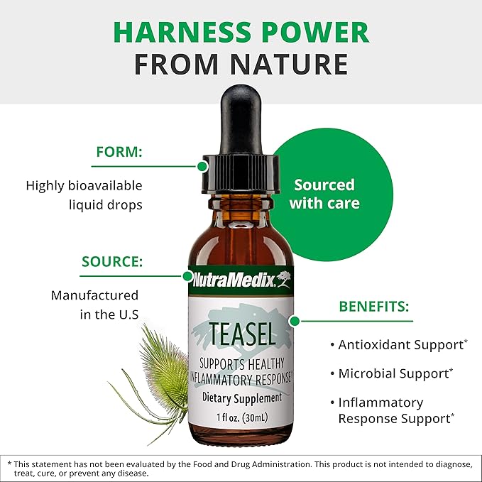 NutraMedix Teasal Extract - Fuller’s Teasel Root (Dipsacus fullonum) Wellness Drops for Antioxidant Support - Vegan Antioxidants Supplement (1oz / 30ml)