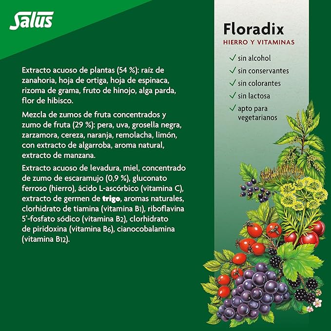 Flora Floradix Iron + Herbs Natural Liquid Iron Supplement 17 fl Ounce (500 ML)