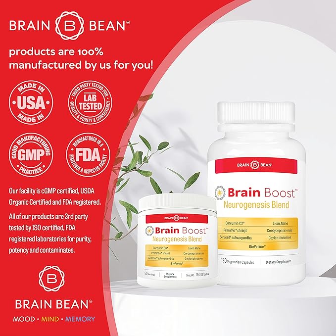 Brain Boost Capsules | with Curcumin Cordyceps Hericium Ceylon Cinnamon Purified Shilajit and Ashwagandha | 30 Servings