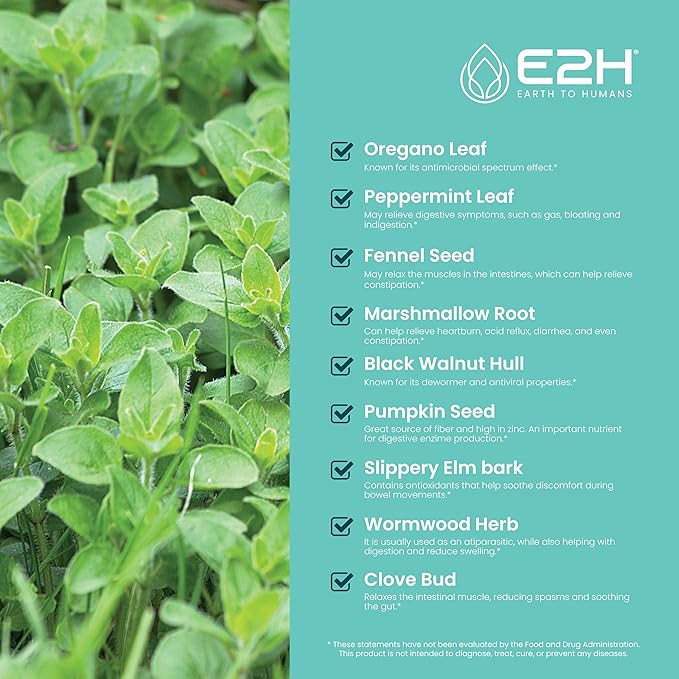 E2H Advanced Intestinal Support - Natural Intestinal Cleanse and Digestive Cleanse Supplement - Wormwood and Black Walnut Extract - Non-GMO Vegan - 2 Fl Oz