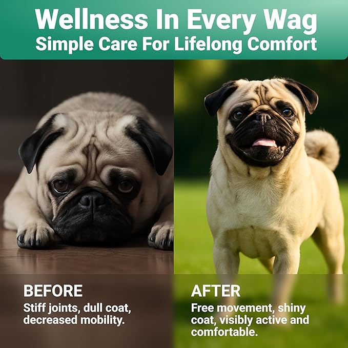 WuffWell Hip and Joint Powder Supplement for Dogs - Glucosamine Dog Joint Health - Joint Supplement for Dogs Powder - Supports Mobility - Dog Joint Powder Supplement - Large Medium Small Breeds