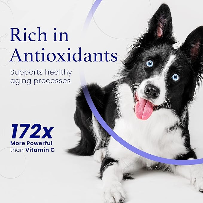 Dog Lover Set - A Bottle for Each of You Pure ESS60 in Extra Virgin Olive Oil for Humans and Canines Dog Supplements Must-Have Pet Supplies and Dog Products