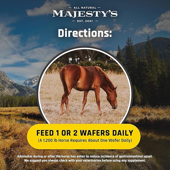 Majesty's Flex XT Wafers - Superior Horse/Equine Joint Support with Increased Supplement Levels - Glucosamine MSM Yucca Vitamin C (Peppermint 2 Pack (120 Count Total))
