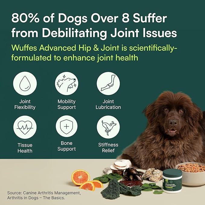 Wuffes Chewable Dog Hip &amp Joint Supplement - Glucosamine &amp Chondroitin Chews - Dog Joint Supplements &amp Vitamins - Extended Joint Care (Large Breed (Over 65 lbs) 60 Chews (Pack of 2))