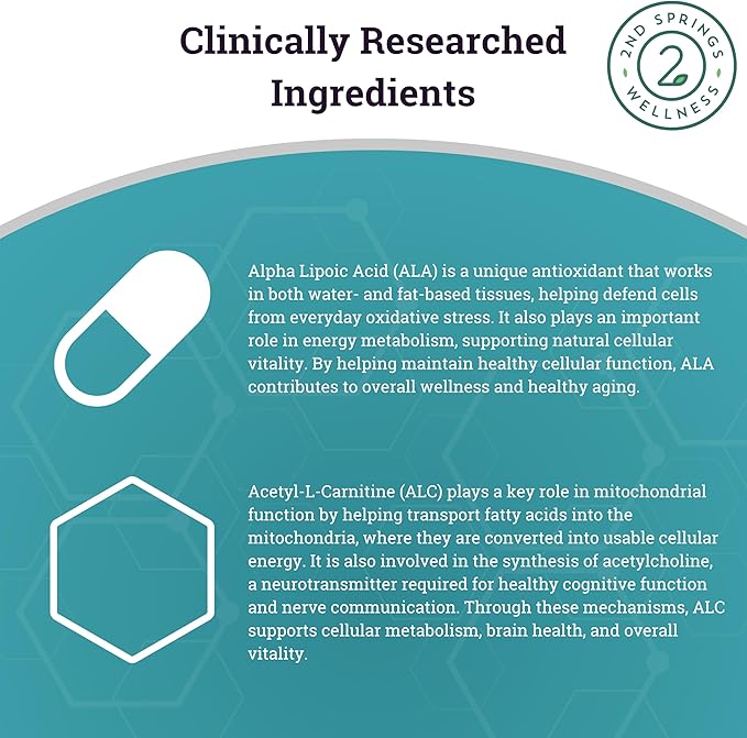 ALA &amp ALC Complex + Super B-100 Complex Bundle | Energy Metabolism Nerve Health Cognitive Support Stress Balance &amp Daily Wellness