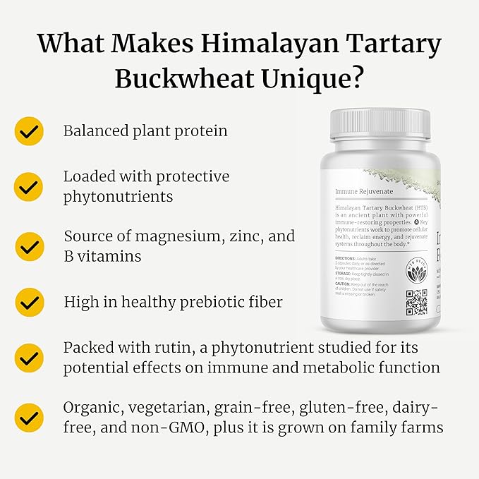 BIG BOLD HEALTH Longevity Bundle - Complete Immune System Support with HTB Rejuvenate Omega-3 &amp Microbiome Supplement - Non-GMO Gluten-Free Immune System Booster w/Polyphenols Prebiotics &amp