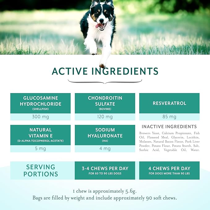 Dog Hip and Joint Support Supplement Soft Chews with Resveratrol Glucosamine Chondroitin Hyaluronic Acid Bacon Flavor Large Breed