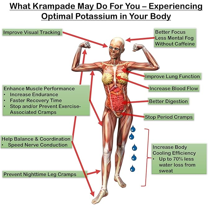 Krampade High Fiber High Potassium Electrolyte Powder Zero Sugar Lemon Lime 9g Dietary Fiber 3950mg Electrolytes 2000mg Potassium 50mg Mag Digestive Health Support Keto Weight Loss 16 Packets
