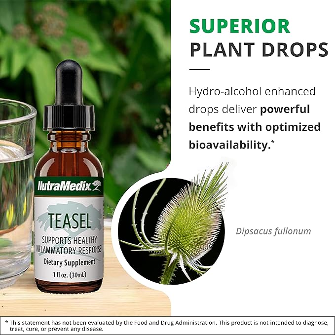 NutraMedix Teasal Extract - Fuller’s Teasel Root (Dipsacus fullonum) Wellness Drops for Antioxidant Support - Vegan Antioxidants Supplement (1oz / 30ml)
