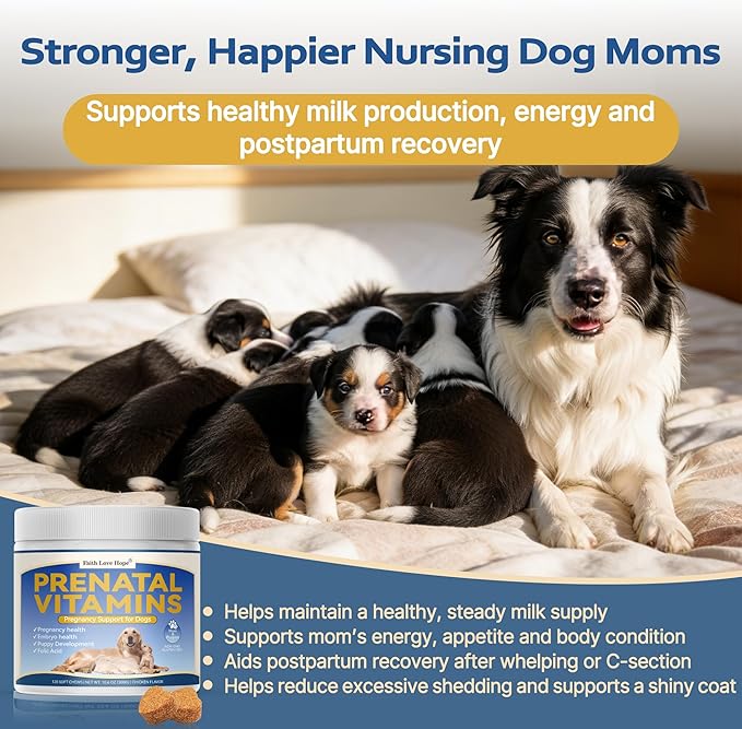 Dog Prenatal Vitamins - Supports Pregnancy Wellness Puppy Growth &amp Lactation and Recovery | Riched Essential Nutrients - DHA Folic AcidIron Calcium | Advanced Multivitamin for Pregnant and Nur