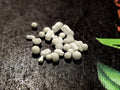 1 Pound Calcium Magnesium Plus Blend