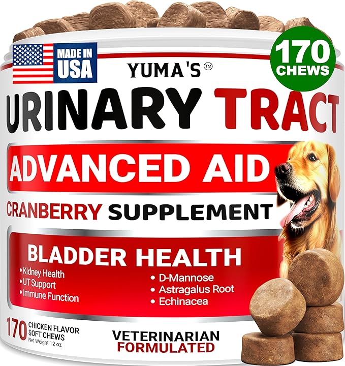 Dog UTI Chews - 170 Treats - Cranberry Supplement for Dogs - Bladder Control - Digestion &amp Immune Support - Urinary Tract Health - Multivitamin - Vitamins and Supplements - Made in USA