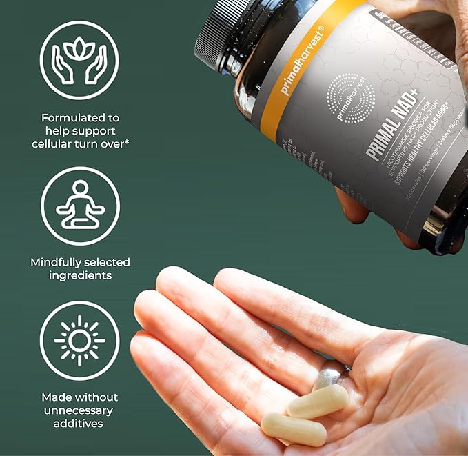 Primal Harvest NAD+ Supplement: Nicotinamide Riboside Trans-Resveratrol Betaine CoQ10 NAD Supplements for Cellular Health Energy and Mitochondrial Support