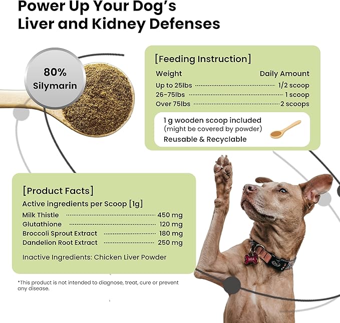 Pawpulse Formula Milk Thistle for Dogs – Liver &amp Kidney Support Powder with Silymarin &amp Glutathione – Daily Detox Antioxidant &amp Metabolic Natural Support 2.12 oz