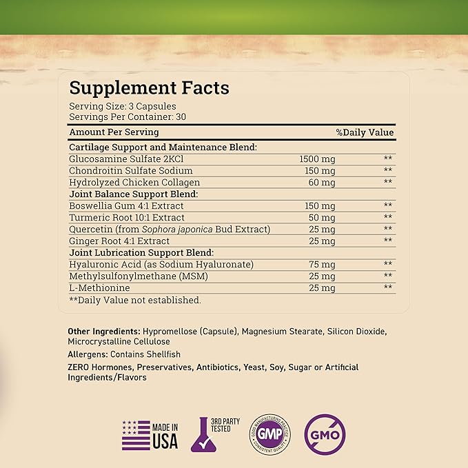 Nature's Base Turmeric &amp Ginger 60 ct + Glucosamine Chondroitin 90 ct
