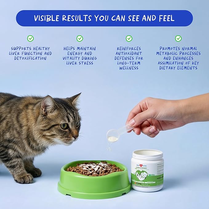 Milk Thistle for Cats - Liver and Kidney Support - Hepatic Support with EPA &amp DHA - Detox - Liver Supplement with Choline and L-Arginine (Powder for Cats)