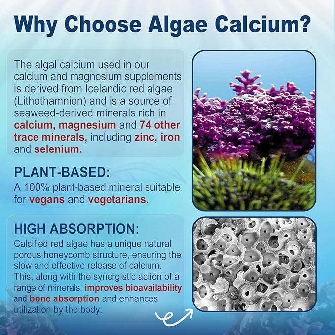 Sugar Free Calcium Supplement 600mg Algae Calcium Magnesium 2:1 Ratio + Sugar-Free CoQ10-250mg Filled Gummies High Absorption Coenzyme Q10