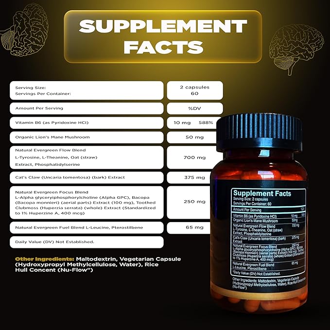 Brain Supplements for Memory and Focus – Nootropic for Men &amp Women | Supports Memory Mental Clarity &amp Focus | Capsules with L-Theanine Vitamin B6 &amp Phosphatidylserine (120)