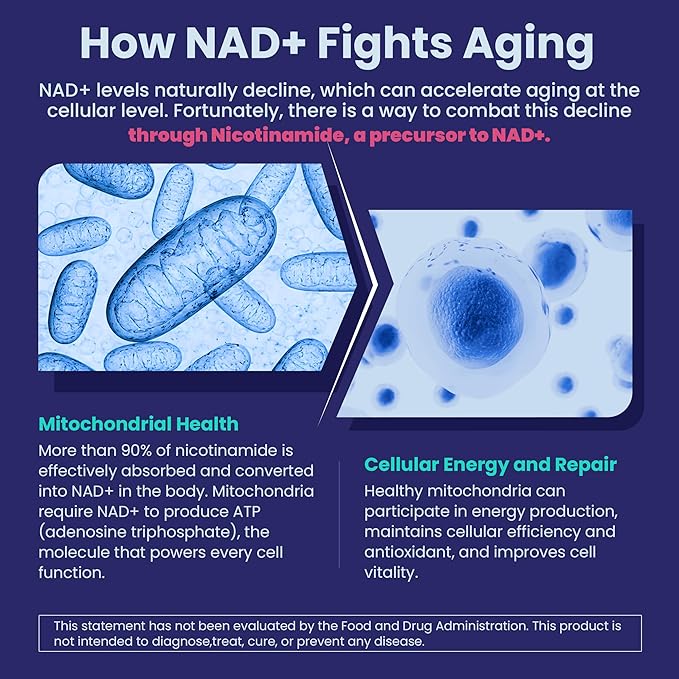2 Pack - Nicotinamide 500mg Gummies NAD+ Supplement for Women &amp Men w/ Collagen Peptides (Flush Free Niacin) Vitamin B3 Niacinamide for Anti-Aging NAD+ Levels Longevity Focus &amp Brain Sug