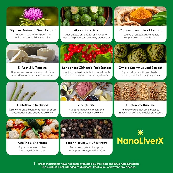 NanoLiverX - Nanoliposomal Silymarin Revitalized Liver Health Liquid Drops - Support Liver Cleanse Detox &amp Repair - Liver Supplement with Milk Thistle Silymarin Extract Artichoke and More