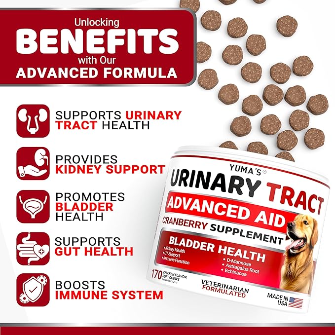 Dog UTI Chews - 170 Treats - Cranberry Supplement for Dogs - Bladder Control - Digestion &amp Immune Support - Urinary Tract Health - Multivitamin - Vitamins and Supplements - Made in USA