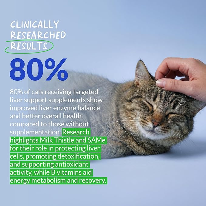 Milk Thistle for Cats - Liver and Kidney Support - Hepatic Support with EPA &amp DHA - Detox - Liver Supplement with Choline and L-Arginine (Powder for Cats)