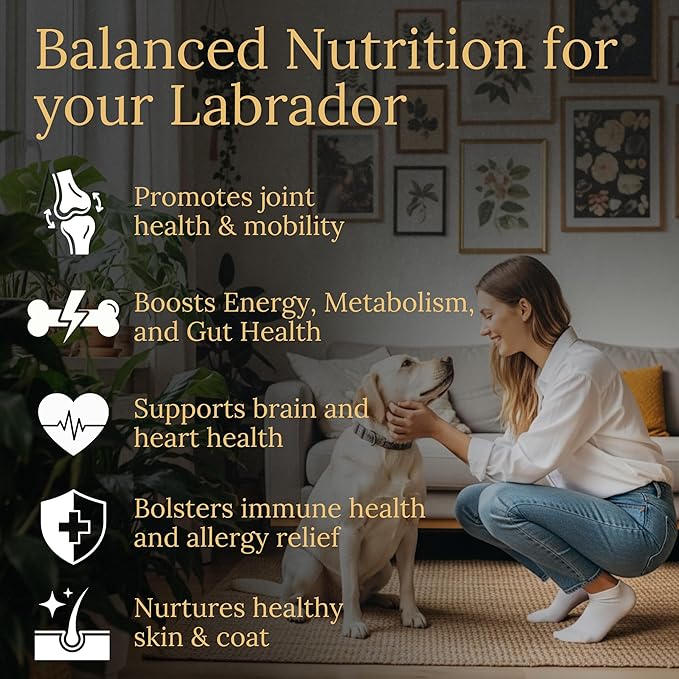 Multivitamins Balanced Nutrition for Your Labrador 90 Count Made in The USA with Real Bacon