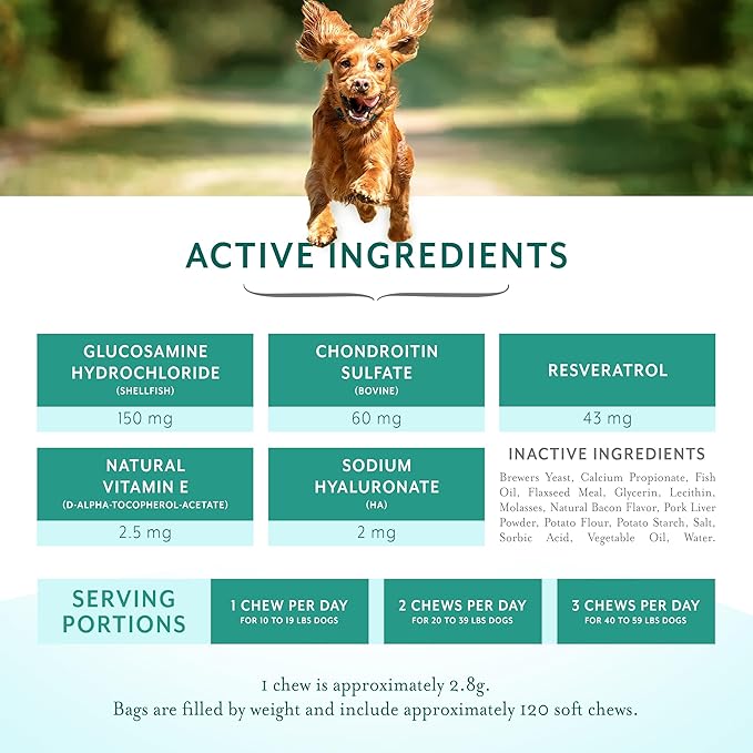 Dog Hip and Joint Support Supplement Soft Chews with Resveratrol Glucosamine Chondroitin Hyaluronic Acid Bacon Flavor Small Breed