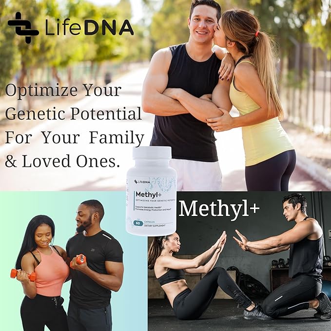 LIFEDNA Methyl + Methylfolate - Methylated Folate Vitamins Active 5-MTHF TMG Optimized Homocysteine Brain Cardiovascular Highly Bioavailable MTHFR Supplement
