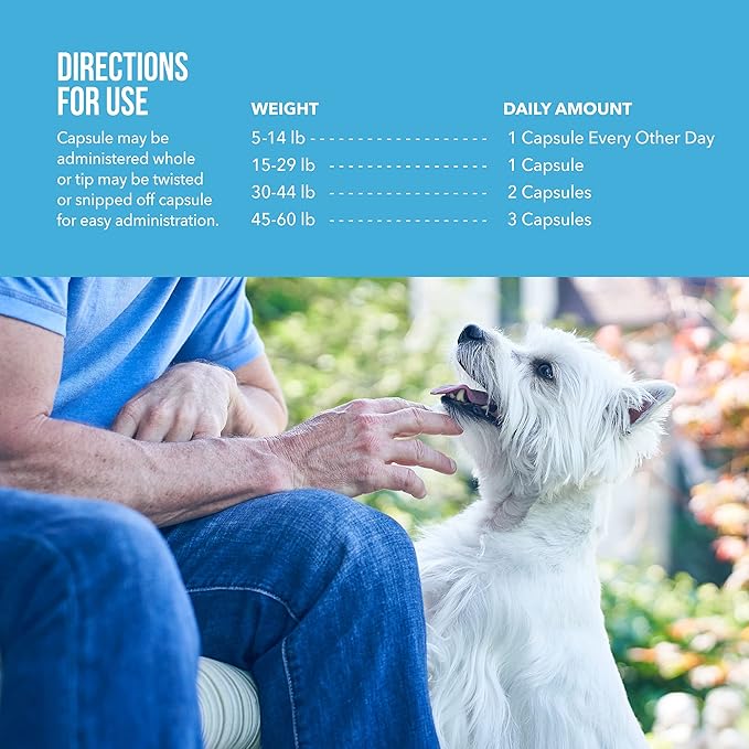 Free Form Snip Tips Omega-3 Fish Oil Liquid Supplement for Small Dogs and Cats 60 Count