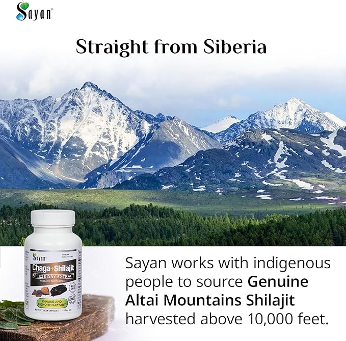 Sayan Siberian Chaga Mushroom Extract with Shilajit 90 Capsules/420mg ea.– Immune and Digestion System Support – Fulvic Acid Supplement – Energy &amp Clarity – Exclusive Blend – No Fillers