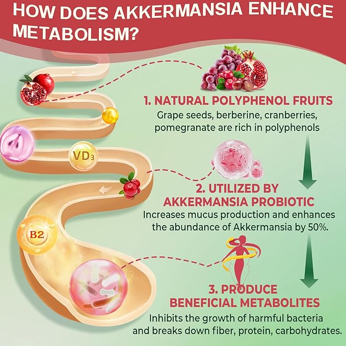 Bundle: Akkermansia Probiotics Gummies with Prebiotics Fiber &amp Calcium + D3 &amp Magnesium Filled Gummies for Kids 4+